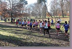 Begles 15.12.13 01 496 * 679 x 453 * (219KB)